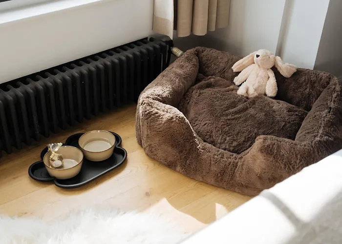 Hotel Boutique Azur De Haan