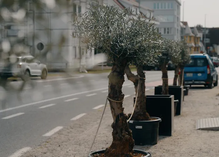 Boutique Azur 3* De Haan