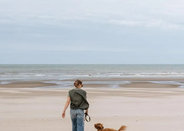 Boutique Azur Hotel De Haan