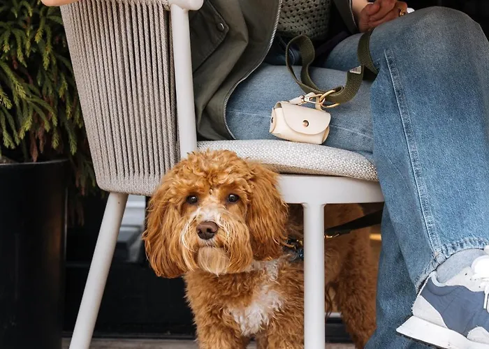 Boutique Azur 3* De Haan