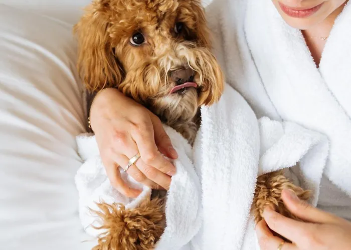 Boutique Azur Hotel 3*