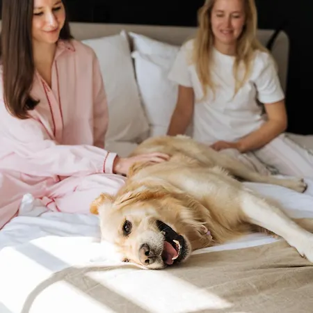 Boutique Azur فندق