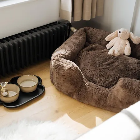 فندق Boutique Azur دي هان