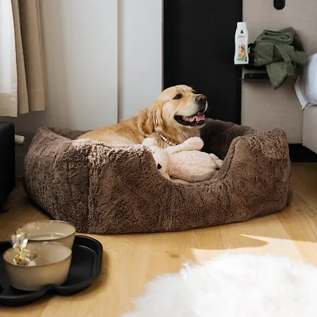 Boutique Azur 3* دي هان