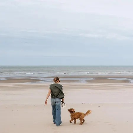 Boutique Azur فندق دي هان