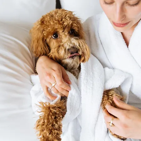 Boutique Azur Hotel 3*