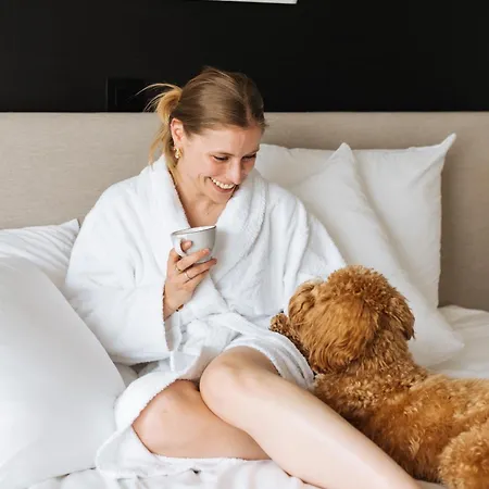 فندق Boutique Azur دي هان